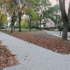 halle-utca-img_6635