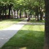 halle-utca-img_8387