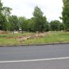Kálvin János Park
