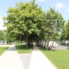 Kálvin János Park